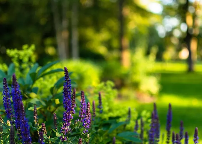 Bispink Апартаменты